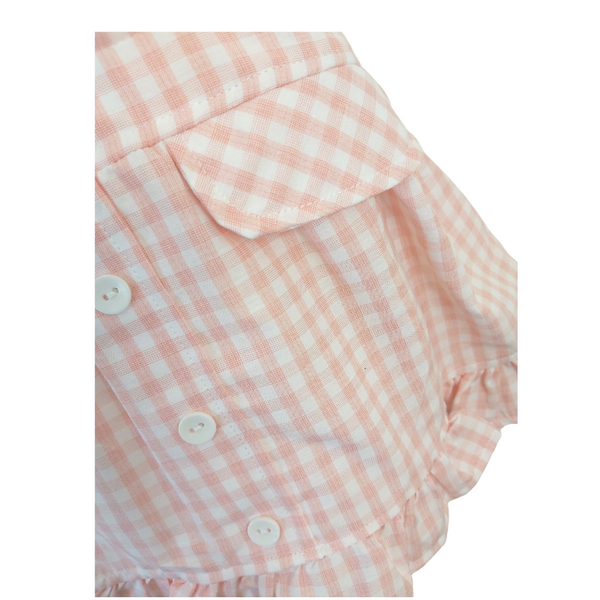 Two-Piece Pink Check Dress Set (9-24M)